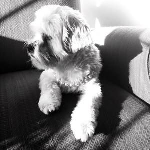 Meet your Posher, Barbara